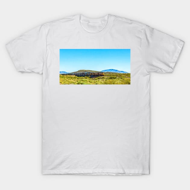 Union Pacific Freight Train in New Mexico T-Shirt by Gestalt Imagery